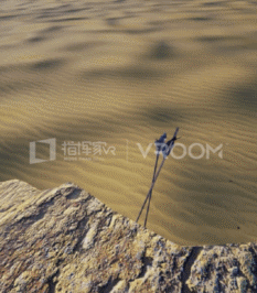 1497874393316283.gif 大漠古城1s.gif